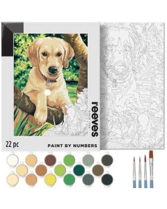 Bojanka Labrador 22/1