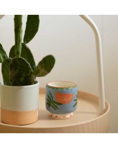 Svijeća mirisna, Cactus Flower