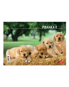Bilježnica obrazac 2 pisanka C za 2. I 3. razred Animal