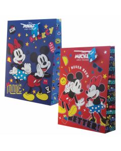 Vrećica ukrasna Spree, art.563953, 33x10x45, Mickey/Minnie