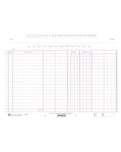 K-156 FINANCIJSKI KONTOVNIK TROKOLONSKI - BEZ RUBA; Komad, 30 x 22 cm