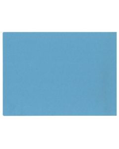 R-5-P RAZDJELNI KARTON; Kartica, 30 x 22 cm