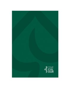 Bilježnica tvrdi uvez A4 96 listova diktando, Lipa Mill