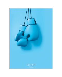 Bilježnica A5 40 listova diktando 80 gr. C-16